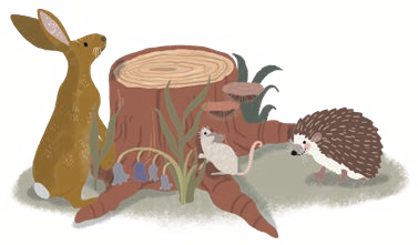 100.png