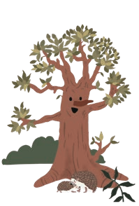 22.png