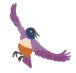 40.png