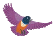 93.png